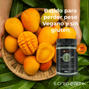 Sabor Mango Batido de sustitución de Comidas para Control de Peso Vegan One Sorgenta  600gr - Mango - Imagen 2