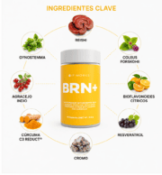 BRN+ IT WORKS! Complemento alimenticio con cromo y extractos botánicos - Imagen 5