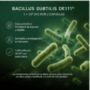FLAT It Works – Complemento alimenticio con enzimas digestivas, Bacillus subtilis DE111®, fibra, plantas y vitamina B3 - Imagen 5